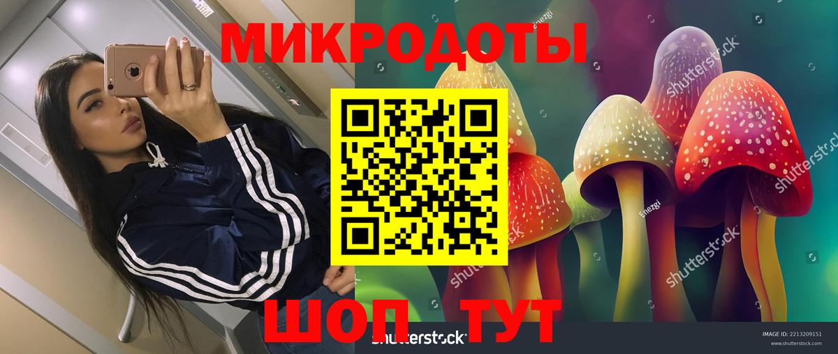 Сунжа  Галлюциногенные грибы GOLDEN TEACHER  Вход с VPN  купить наркоту  Галлюциногенные грибы GOLDEN TEACHER 