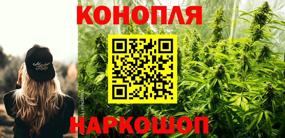 Сунжа  МАРИХУАНА SATIVA & INDICA  Канабис гибрид  Марихуана сатива  Вход с VPN 